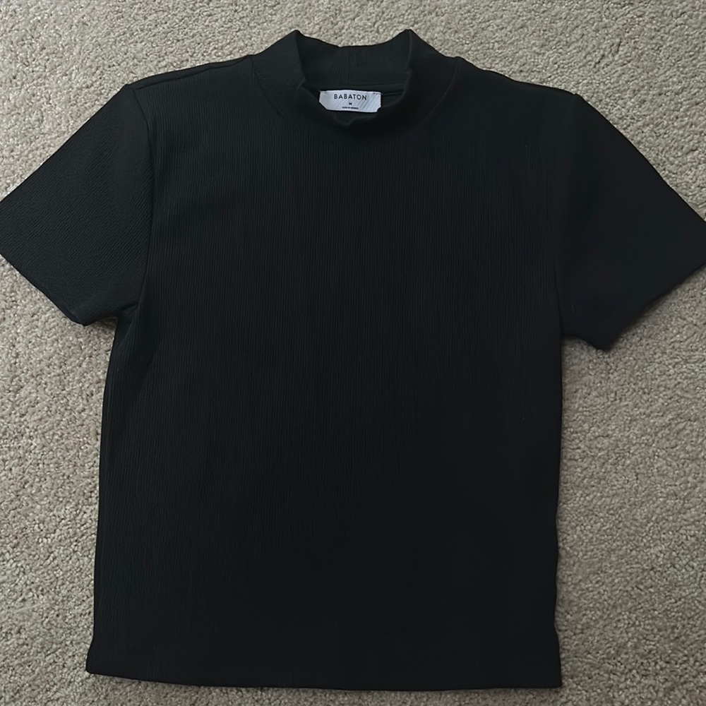 Aritzia Babaton Top